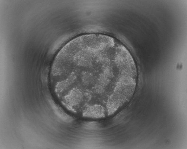 X0000111800058200909031238