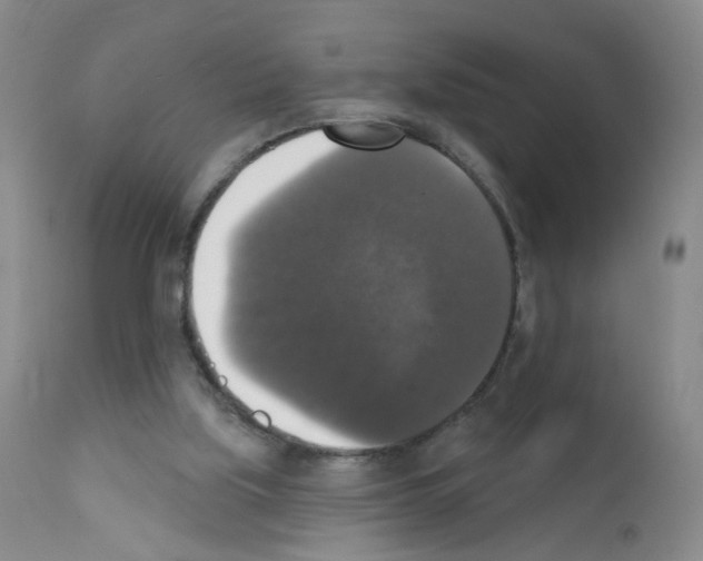 X0000111800059200909031238