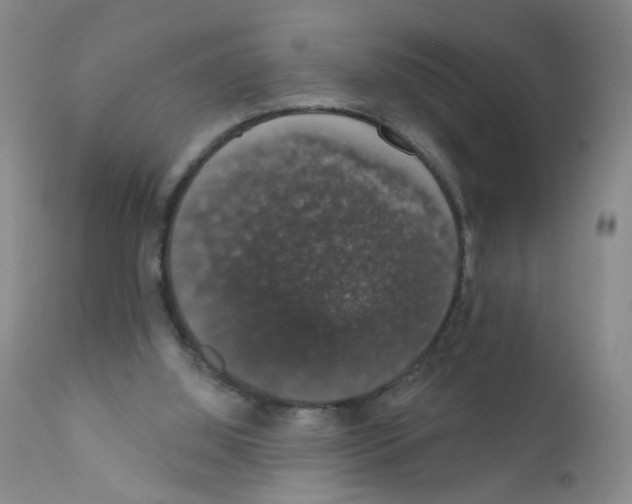 X0000111800060200909031238