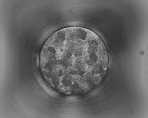 X0000111800061200909031238