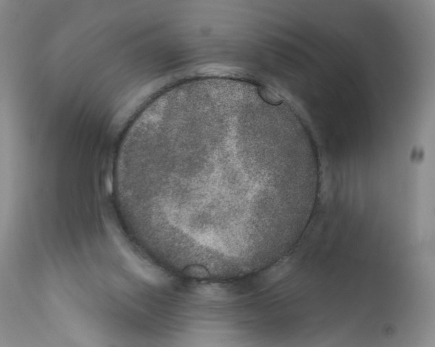 X0000111800062200909031238