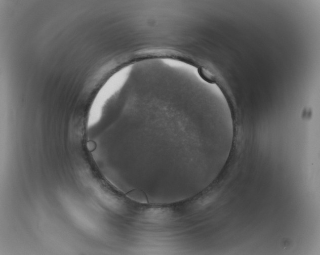 X0000111800063200909031239