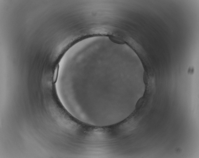 X0000111800064200909031239