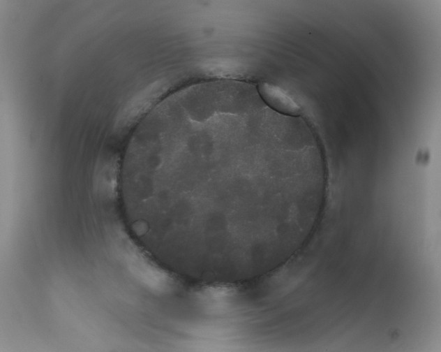X0000111800065200909031239