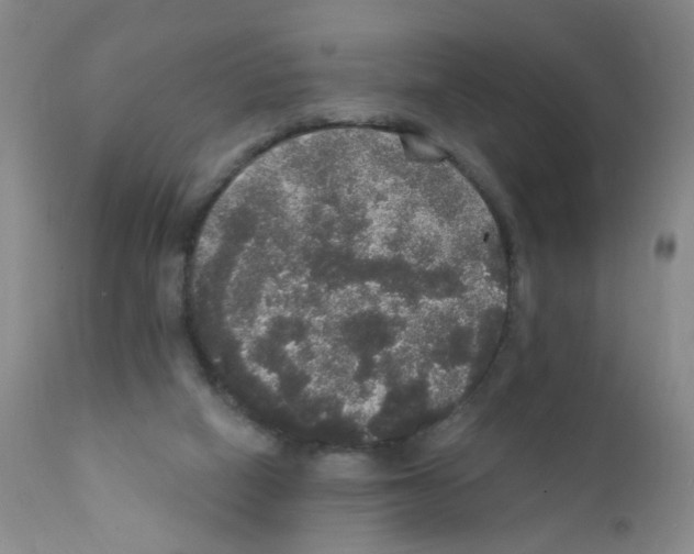 X0000111800066200909031239