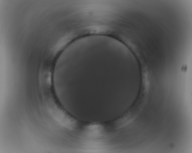 X0000111800067200909031239