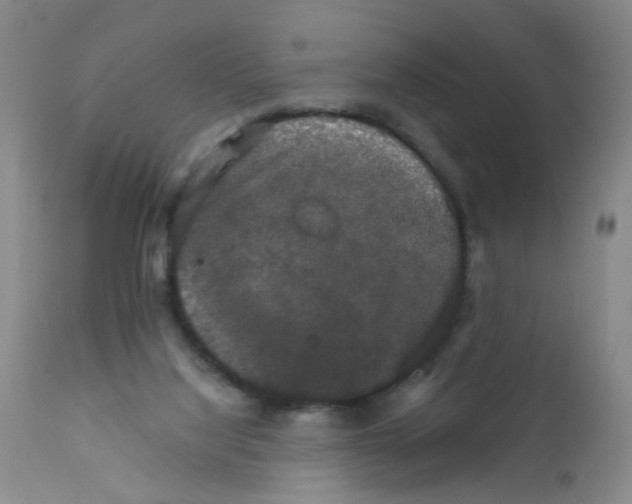 X0000111800068200909031239