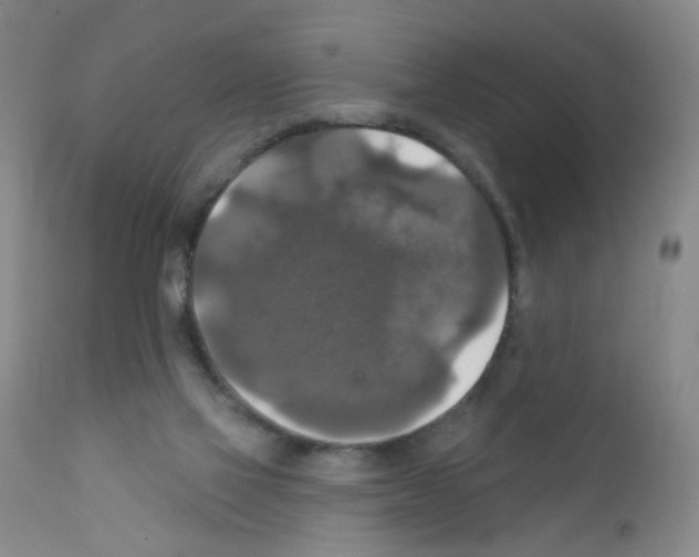 X0000111800069200909031239