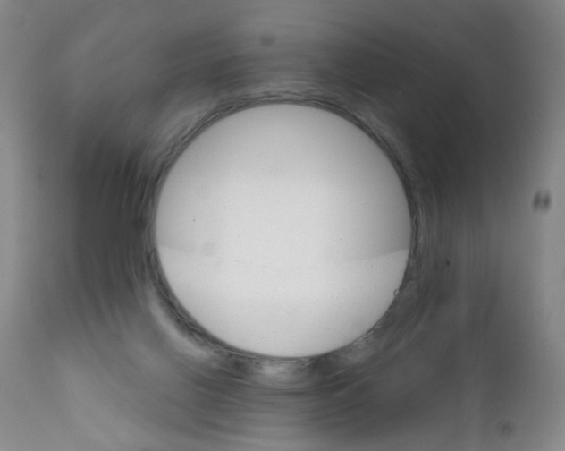 X0000111800070200909031239