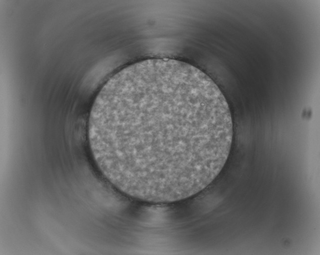X0000111800071200909031239