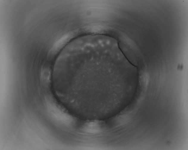 X0000111800072200909031239