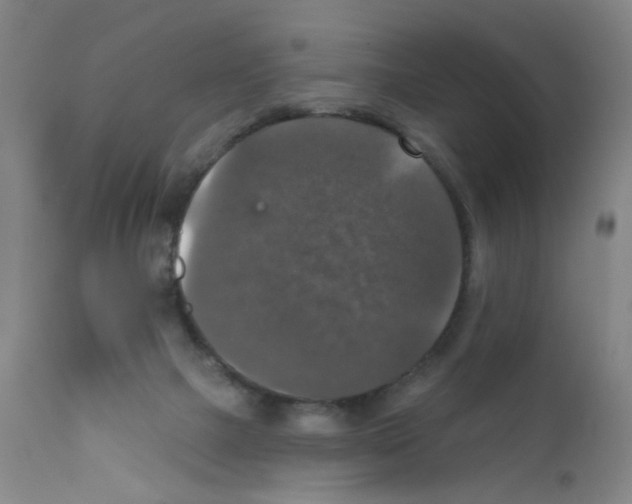 X0000111800073200909031239