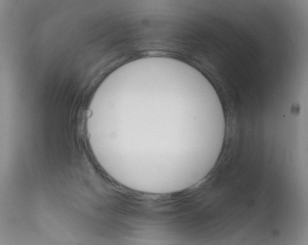 X0000111800074200909031239