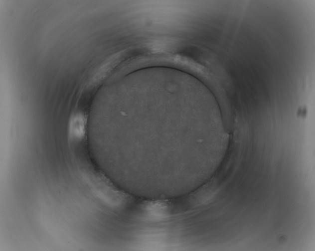 X0000111800075200909031239