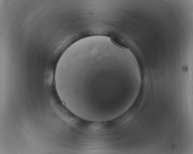 X0000111800076200909031239