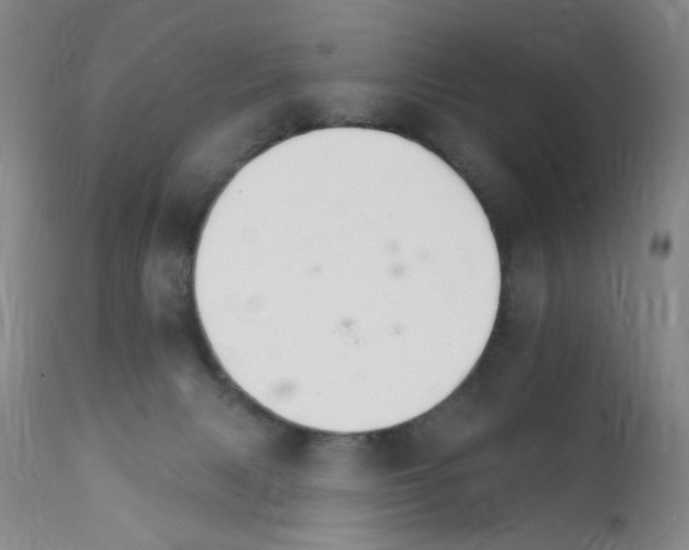 X0000111800079200909031239