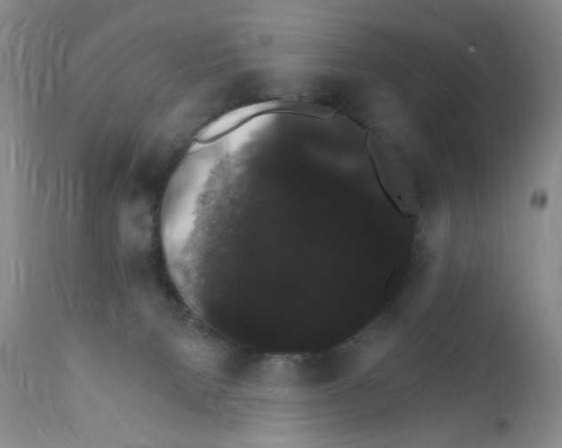 X0000111800080200909031239