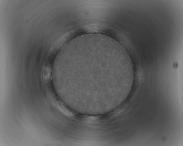 X0000111800081200909031239