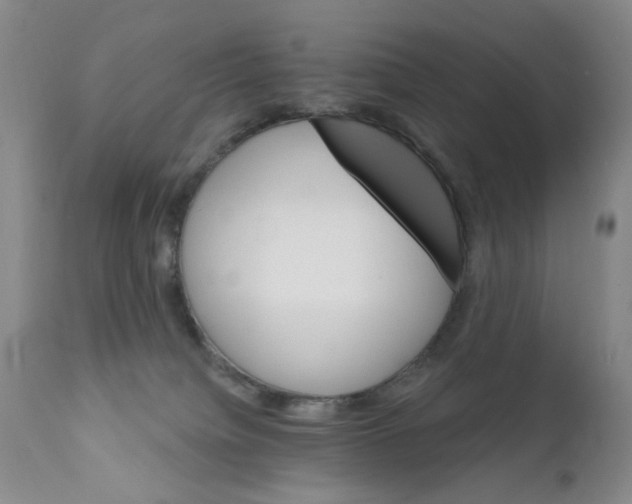X0000111800084200909031239