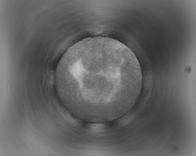 X0000111800085200909031239