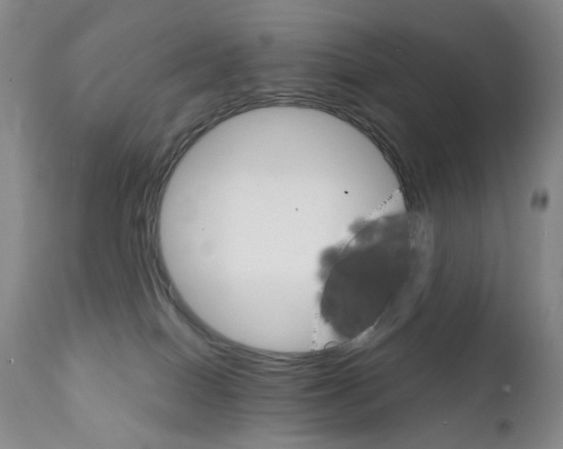 X0000111800086200909031239