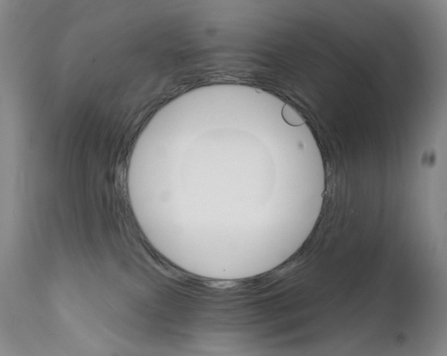X0000111800087200909031239