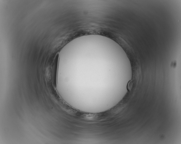 X0000111800088200909031239