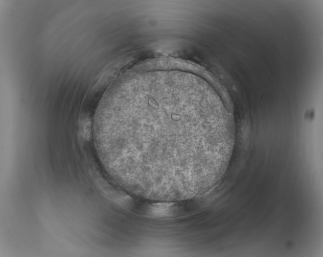 X0000111800090200909031239