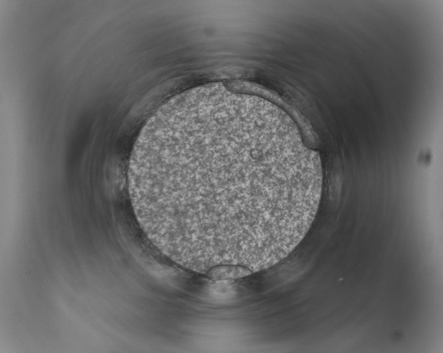 X0000111800091200909031239