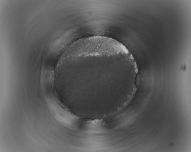 X0000111800092200909031239