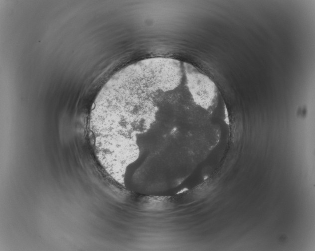 X0000111800093200909031239