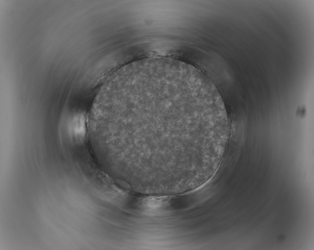 X0000111800094200909031239