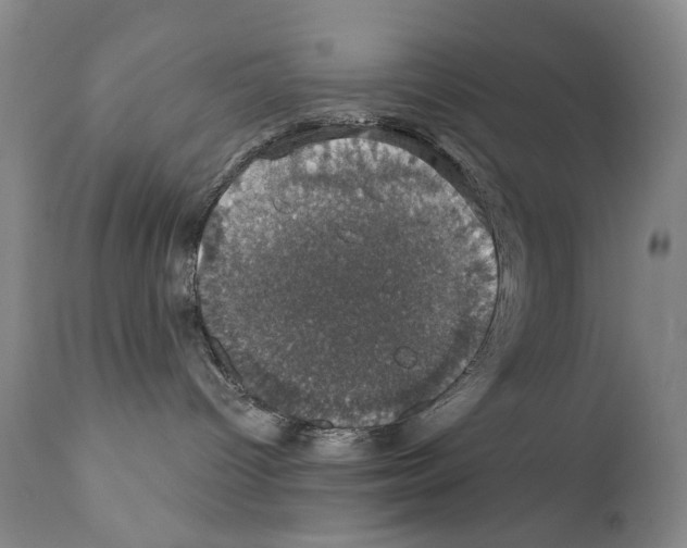 X0000111800096200909031239