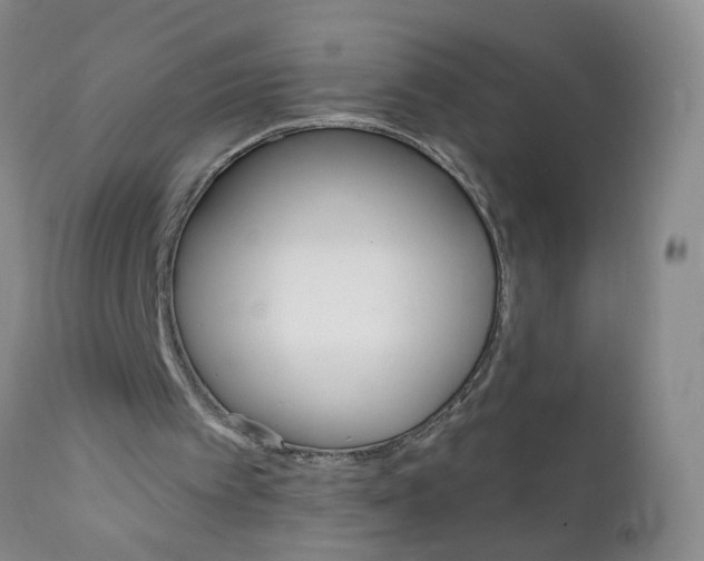 X0000111800097200909031238