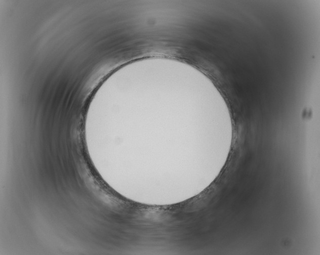 X0000111800098200909031238
