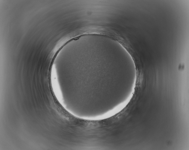X0000111800099200909031238