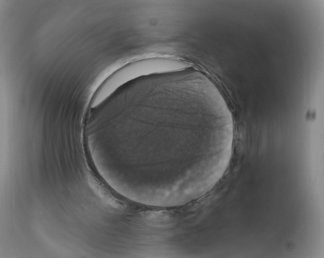 X0000111800100200909031238