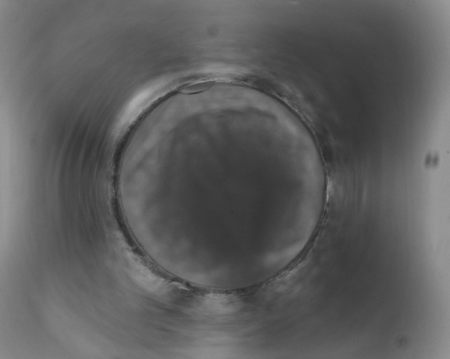 X0000111800101200909031238