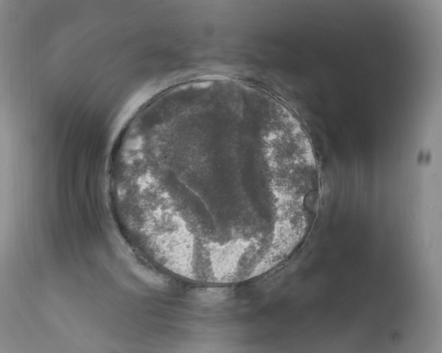 X0000111800102200909031238