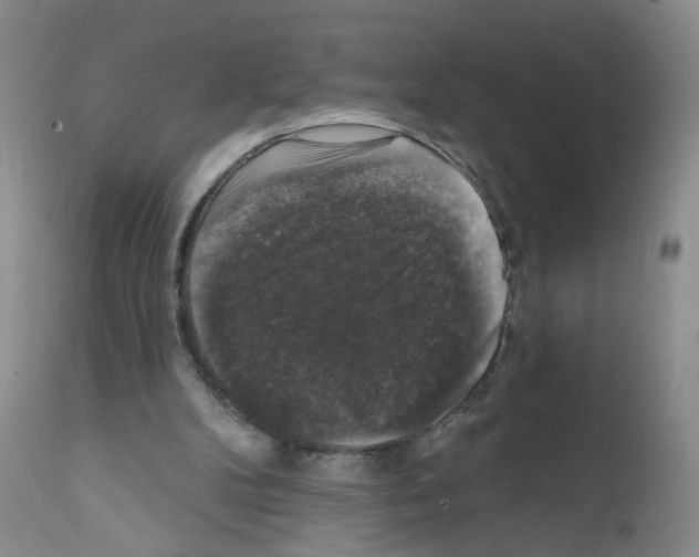 X0000111800104200909031238