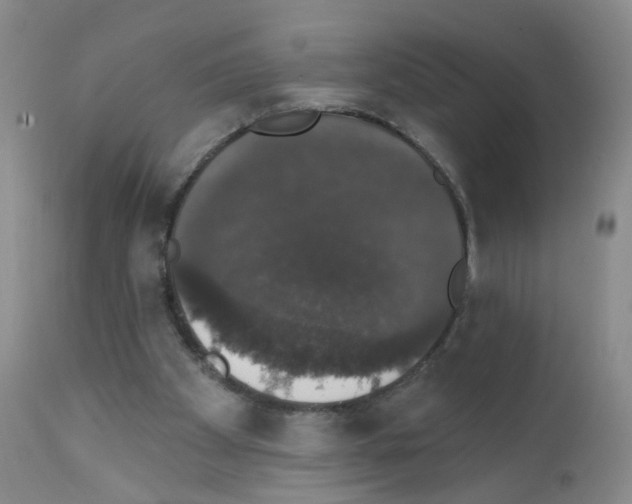 X0000111800105200909031238