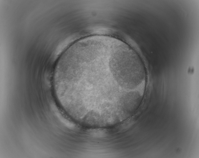 X0000111800106200909031238