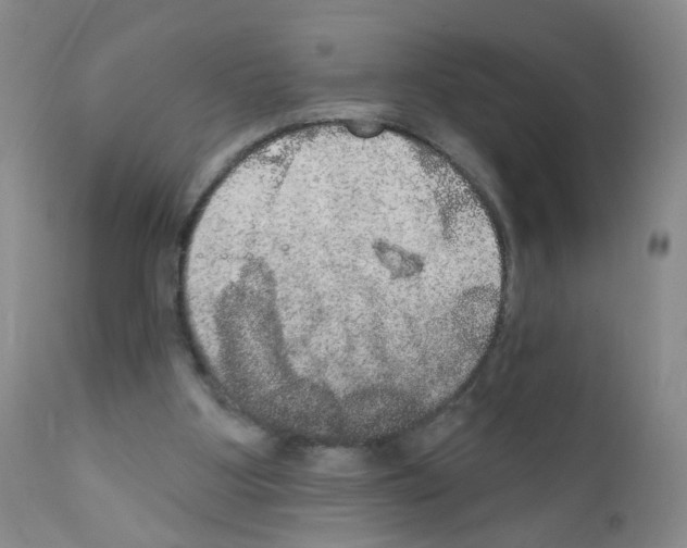 X0000111800107200909031238