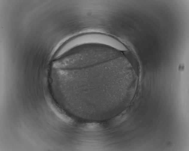 X0000111800108200909031238