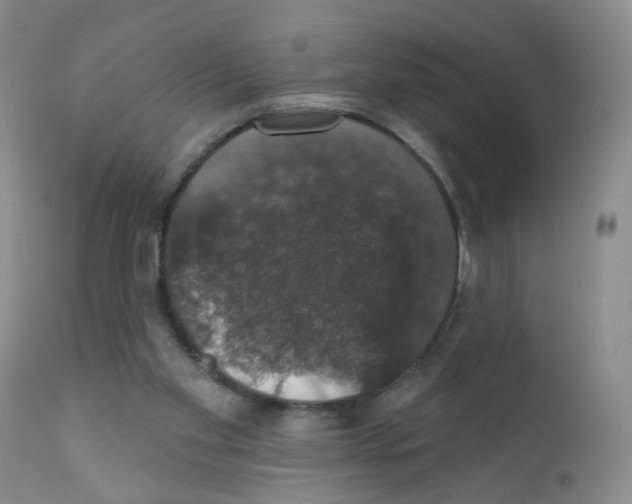 X0000111800109200909031238