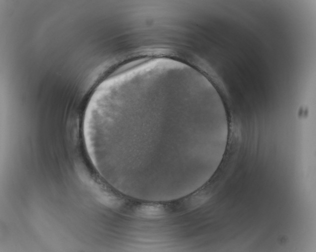 X0000111800110200909031238