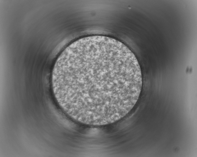 X0000111800111200909031238