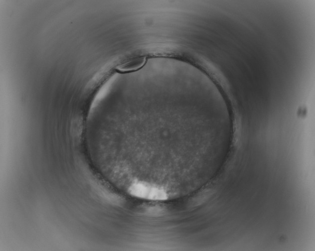 X0000111800113200909031238