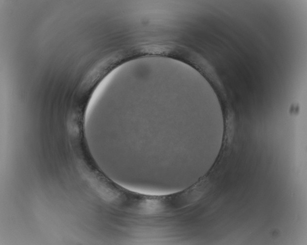X0000111800114200909031238
