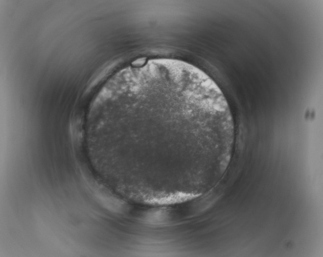 X0000111800116200909031238
